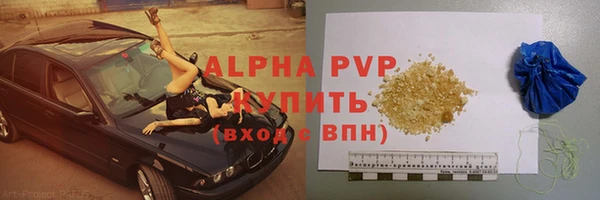 СК Билибино