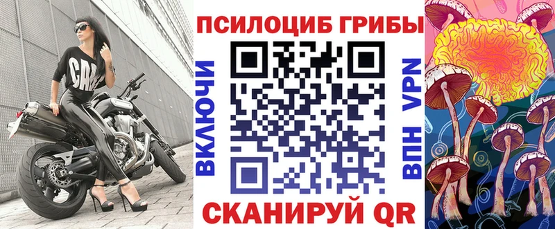 kraken ONION  Балтийск  Галлюциногенные грибы Psilocybine cubensis  закладка 
